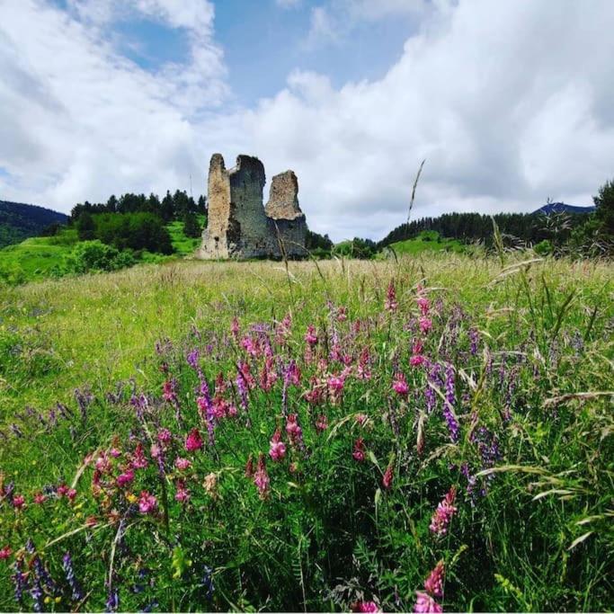 Gite L'Enclos O Rendez-Vous Roquefeuil-Pays De Sault- Avec Jardin Екстер'єр фото