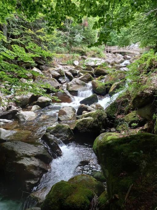 Gite L'Enclos O Rendez-Vous Roquefeuil-Pays De Sault- Avec Jardin Екстер'єр фото