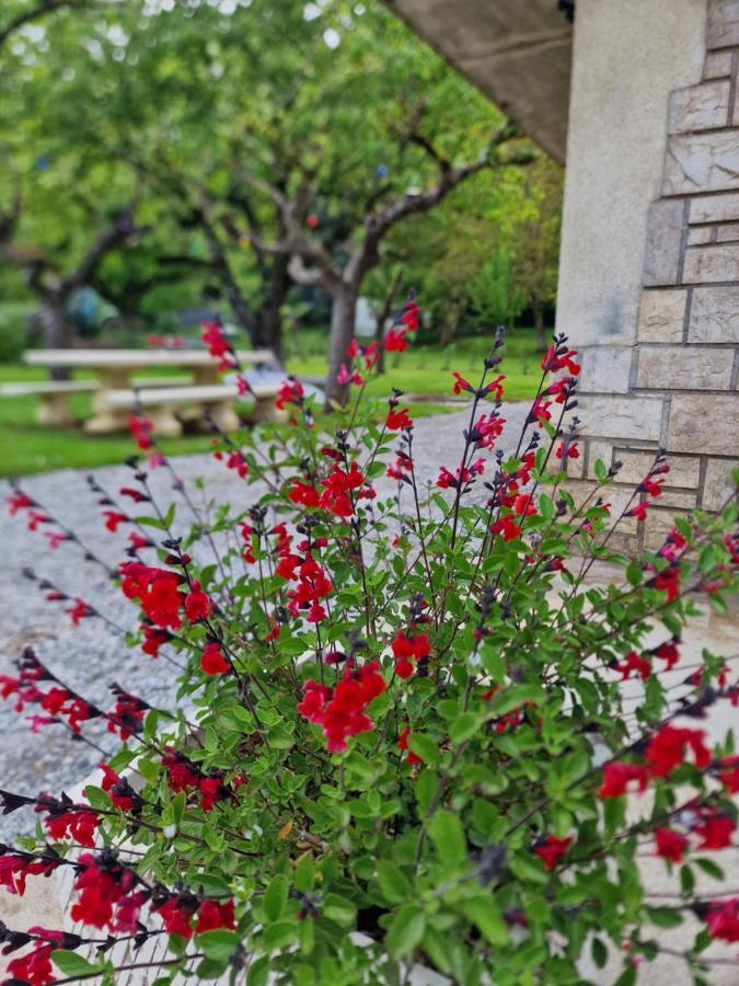 Gite L'Enclos O Rendez-Vous Roquefeuil-Pays De Sault- Avec Jardin Екстер'єр фото
