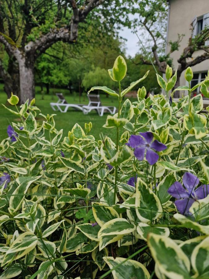 Gite L'Enclos O Rendez-Vous Roquefeuil-Pays De Sault- Avec Jardin Екстер'єр фото
